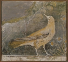 ancient fresco of pigeon-type bird standing next to daisies