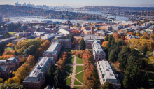 View of the UW Seattle campus quad