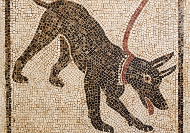Beware of dog mosaic