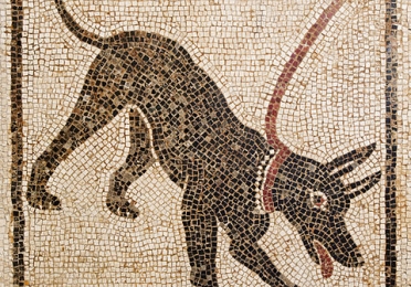 Mosaic of dog on leash