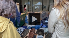  YouTube link to Puget Sound Knappers at International Archaeology Day (2021)